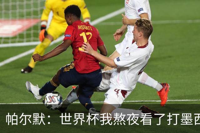 帕尔默：世界杯我熬夜看了打墨西哥，但半场之后睡着了
