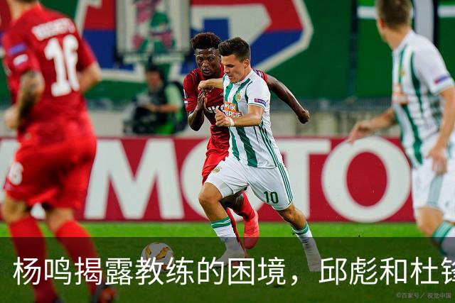 杨鸣揭露教练的困境，邱彪和杜锋的小团队行为是否成为自保策略？