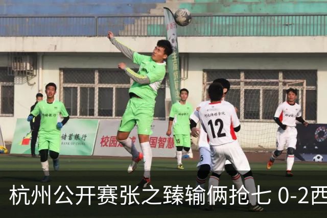 杭州公开赛张之臻输俩抢七 0-2西里奇收获亚军