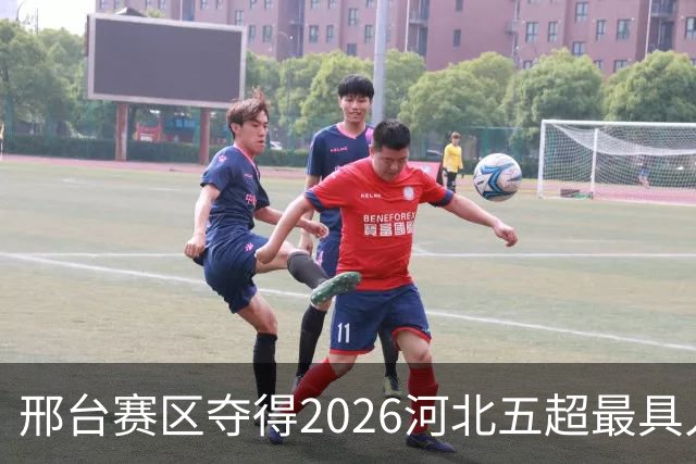 邢台赛区夺得2026河北五超最具人气主场，赛事热度飙升！