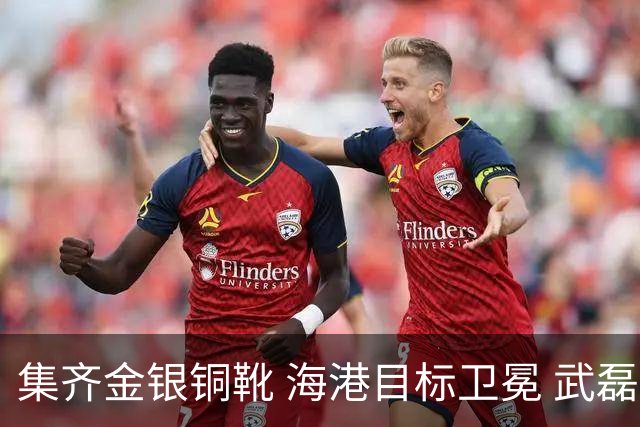 集齐金银铜靴 海港目标卫冕 武磊的伤是个麻烦